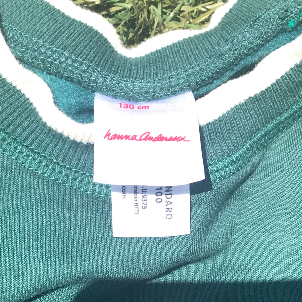HANNA ANDERSON Green Color Block Sweatshirt - Picture 2 of 3